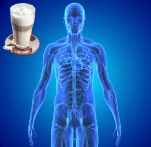 Wie wirkt Kaffee